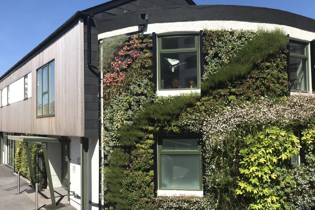 The exterior of the Low Carbon Devon Hub showing the external green walls