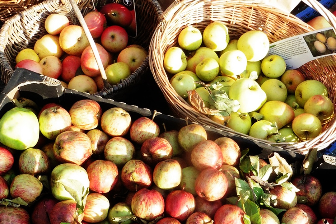 Apples stored in baskets and crates