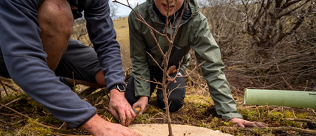 Father and son admire their hard work after planting a tree for Moor Trees