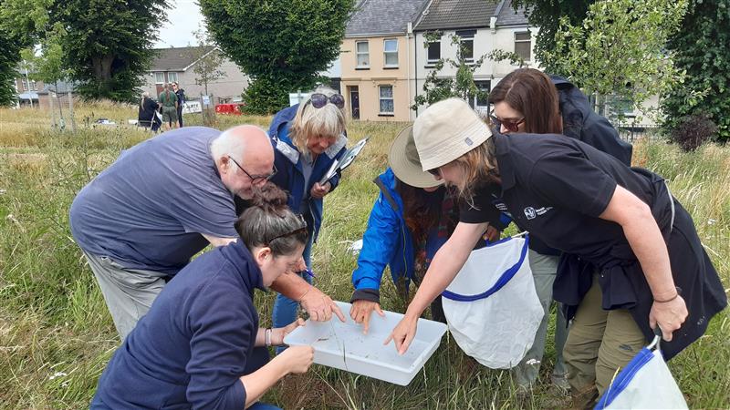 a group of adults doing a survey