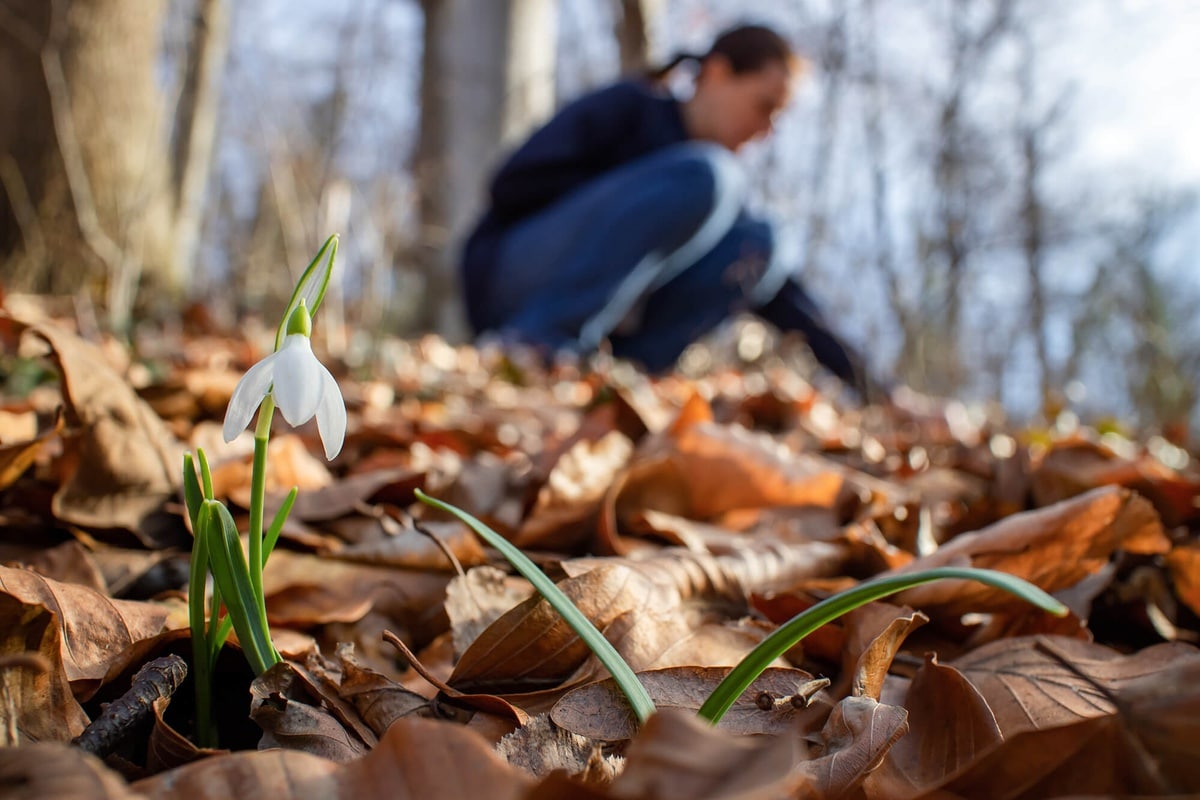 Free course: Nature Connectedness: For a new relationship with nature